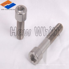 Titanium screws